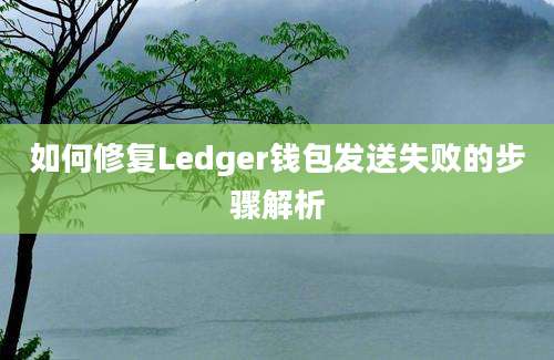 如何修复Ledger钱包发送失败的步骤解析