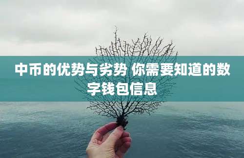 中币的优势与劣势 你需要知道的数字钱包信息