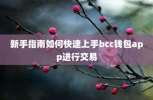 新手指南如何快速上手bcc钱包app进行交易