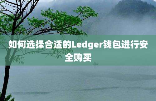 如何选择合适的Ledger钱包进行安全购买