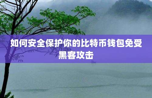 如何安全保护你的比特币钱包免受黑客攻击