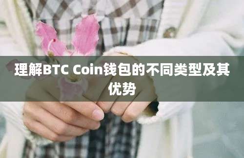 理解BTC Coin钱包的不同类型及其优势