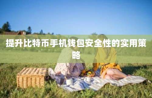 提升比特币手机钱包安全性的实用策略