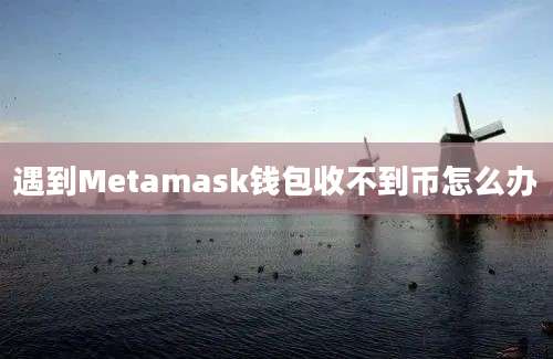 遇到Metamask钱包收不到币怎么办