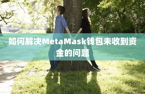 如何解决MetaMask钱包未收到资金的问题