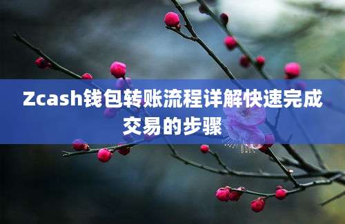 Zcash钱包转账流程详解快速完成交易的步骤