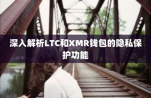 深入解析LTC和XMR钱包的隐私保护功能