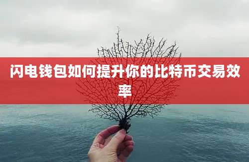 闪电钱包如何提升你的比特币交易效率