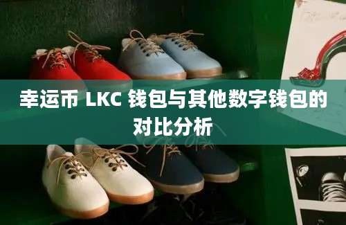 幸运币 LKC 钱包与其他数字钱包的对比分析