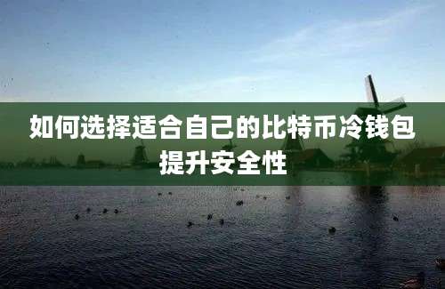 如何选择适合自己的比特币冷钱包提升安全性