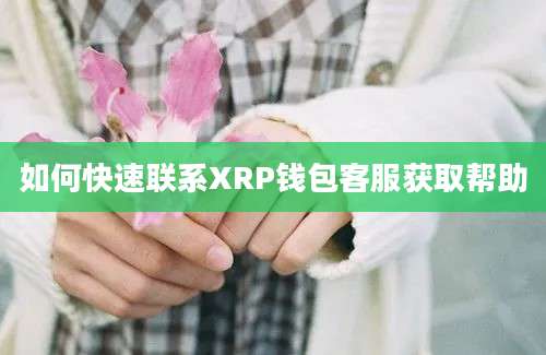 如何快速联系XRP钱包客服获取帮助