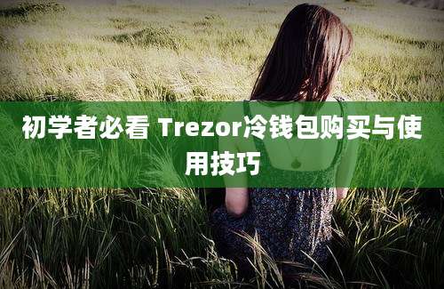 初学者必看 Trezor冷钱包购买与使用技巧