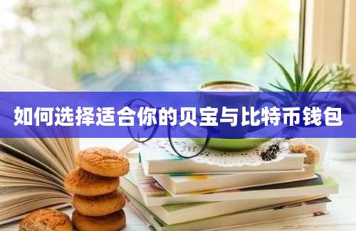 如何选择适合你的贝宝与比特币钱包