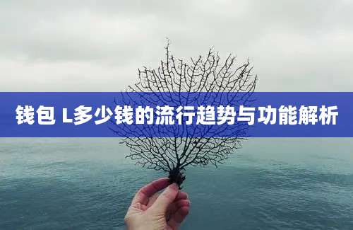 钱包 L多少钱的流行趋势与功能解析