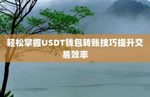 轻松掌握USDT钱包转账技巧提升交易效率