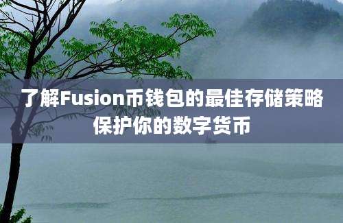 了解Fusion币钱包的最佳存储策略保护你的数字货币