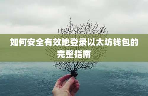 如何安全有效地登录以太坊钱包的完整指南