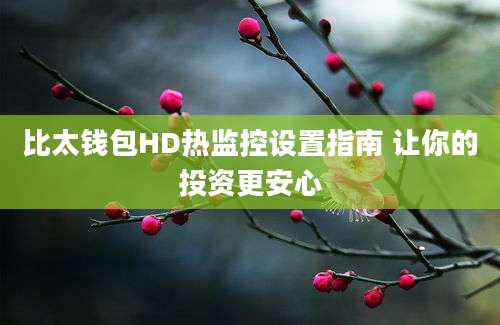 比太钱包HD热监控设置指南 让你的投资更安心