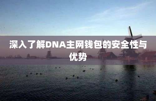 深入了解DNA主网钱包的安全性与优势