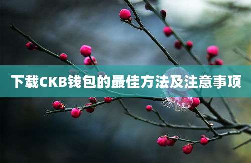 下载CKB钱包的最佳方法及注意事项