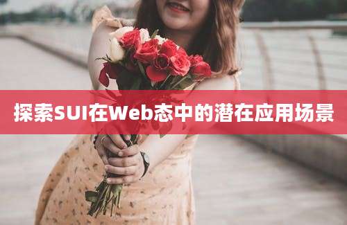 探索SUI在Web态中的潜在应用场景