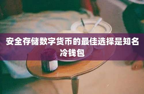 安全存储数字货币的最佳选择是知名冷钱包