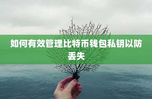 如何有效管理比特币钱包私钥以防丢失