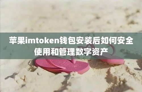 苹果imtoken钱包安装后如何安全使用和管理数字资产