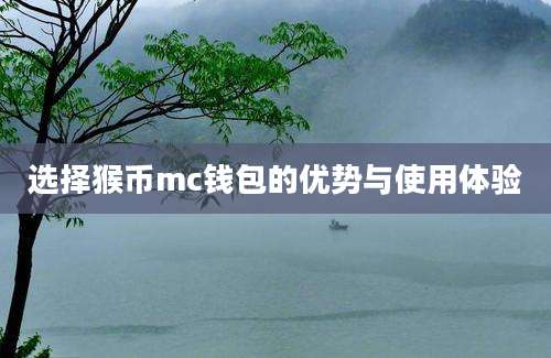 选择猴币mc钱包的优势与使用体验