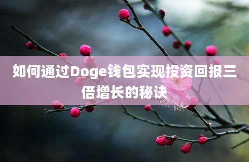 如何通过Doge钱包实现投资回报三倍增长的秘诀