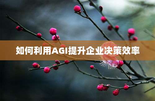 如何利用AGI提升企业决策效率