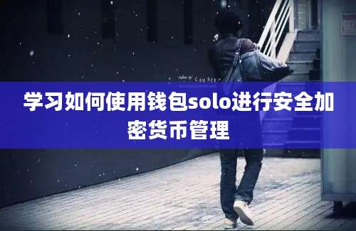 学习如何使用钱包solo进行安全加密货币管理