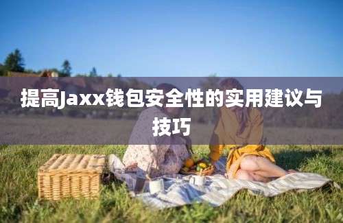 提高Jaxx钱包安全性的实用建议与技巧