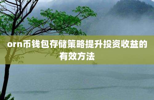 orn币钱包存储策略提升投资收益的有效方法