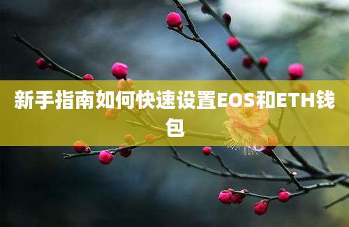 新手指南如何快速设置EOS和ETH钱包