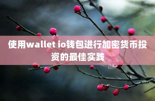 使用wallet io钱包进行加密货币投资的最佳实践