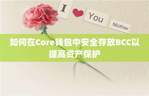 如何在Core钱包中安全存放BCC以提高资产保护