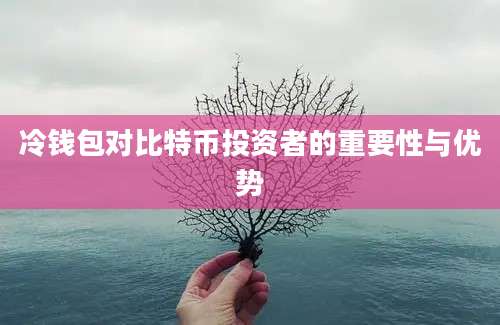 冷钱包对比特币投资者的重要性与优势