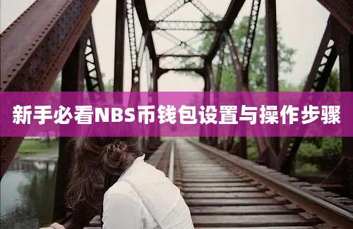 新手必看NBS币钱包设置与操作步骤