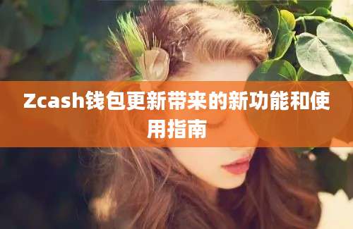 Zcash钱包更新带来的新功能和使用指南